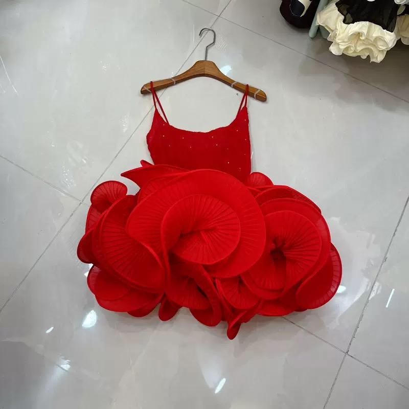 Ladies dress