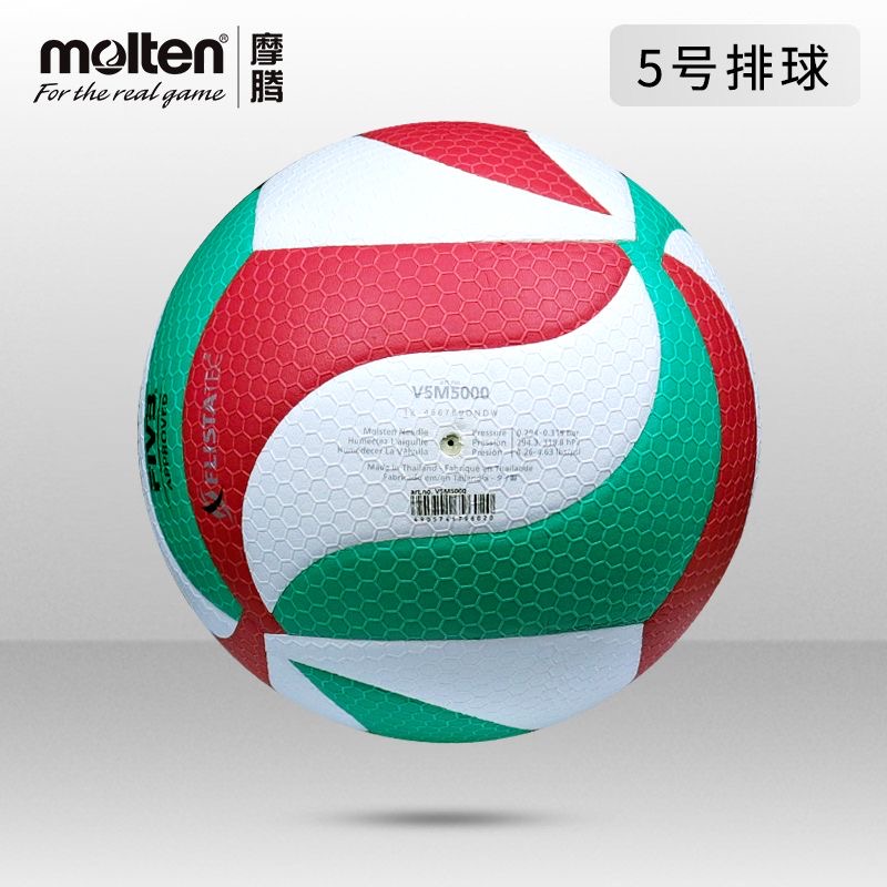 Volleyball - Image 3