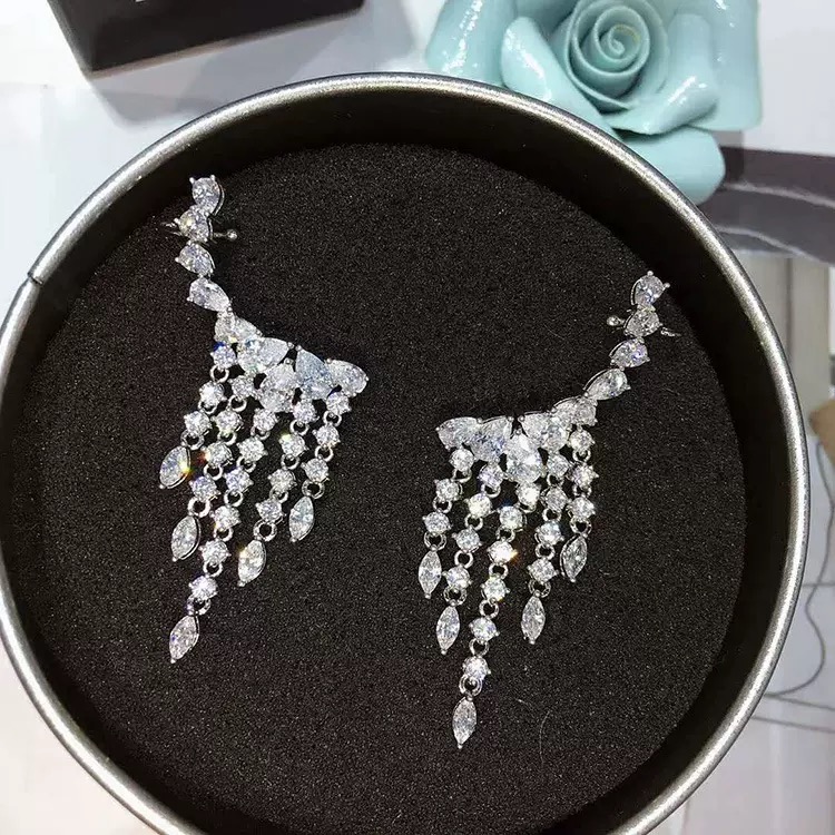 Luxurious Earrings