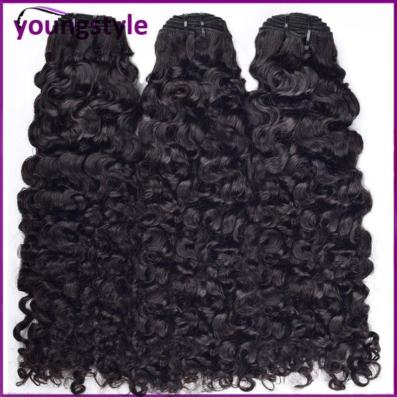 12 A Burmese curly double drawn Vietnamese human hair weft