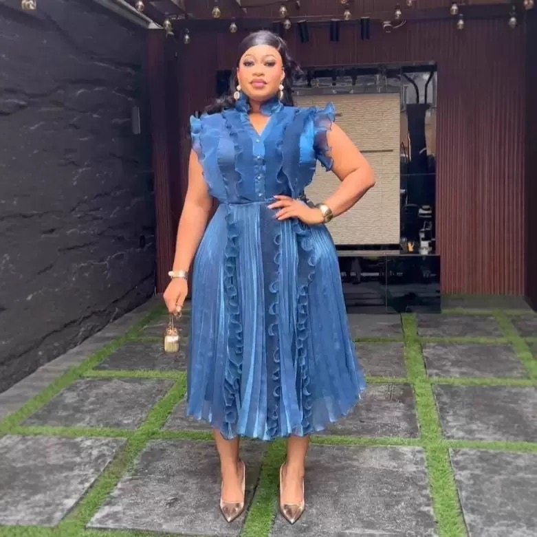 Organza Pleated Dress